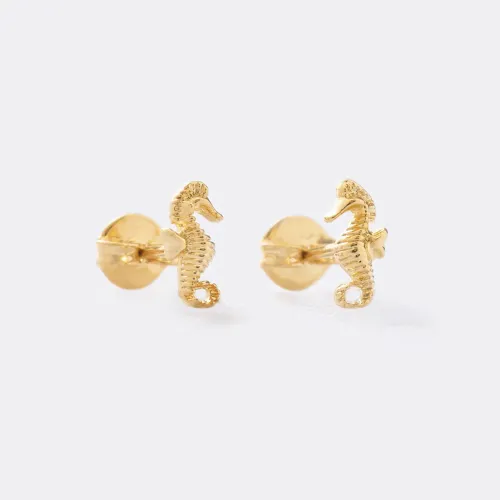 Aretes Caballito de Mar