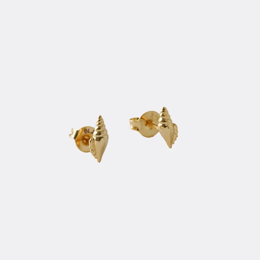 Aretes Shell